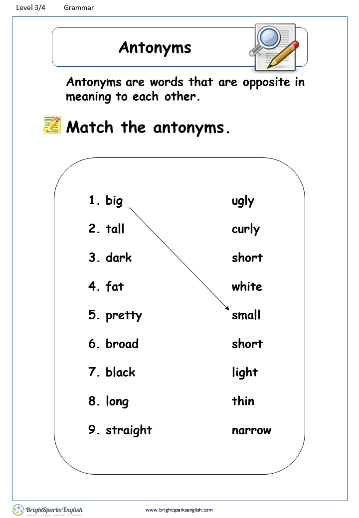 English Worksheets For Grade 2 Antonyms