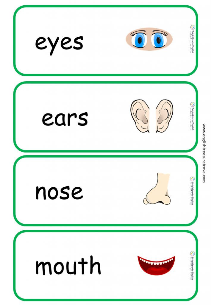 Toes произношение. Parts of the body карточки. Карточки Parts of the body Ears. Карточки по английскому языку нос. Карточки Parts of the body nose.