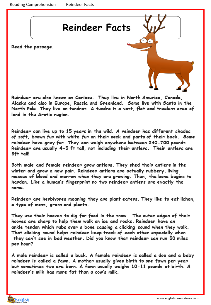 how are reindeer antlers similar to a human fingerprint