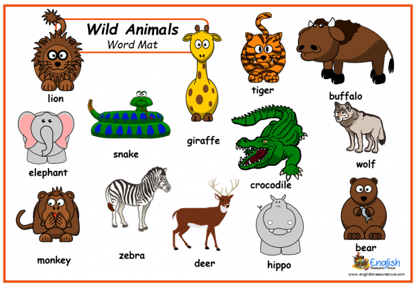 Wild Animals English Vocabulary Mat – English Treasure Trove